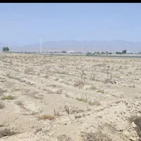 فروش سه هکتارونیم زمین کشاورزی زیارت مولامیناب|فروش دفتر صنعتی، کشاورزی، تجاری|میناب, |دیوار