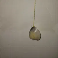 سرکلیدی صدفی