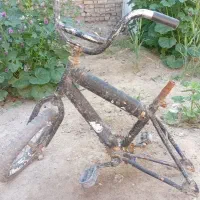 تنه دوچرخه ۱۶