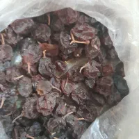 سلام مویز انگور بش شیرین|خوردنی و آشامیدنی|شیراز, ارم|دیوار