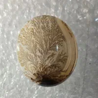 سنگهای شجرقائن