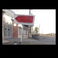 عرضه گوسفند ودام مرغ زنده شهرداری