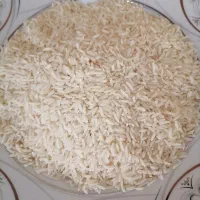 برنج طارم هاشمی
