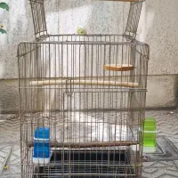 قفس ۱۰۳۳ و پایه مناسب طوطی و کاسکو