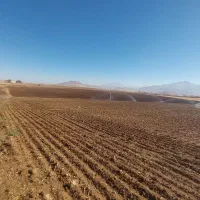 اجاره-6-هکتار-زمین-با-25-ابپاش-اب