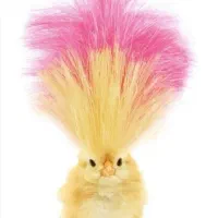 کارشناس فروش و مدیر داخلی