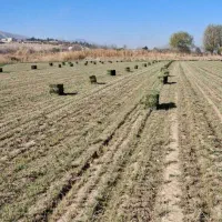 پرس یونجه باکیفیت