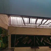 چمن دیواری مصنوعی و طبیعی