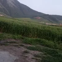 اجاره سوئیت در روستای خمبر آباد|اجارهٔ کوتاه‌مدت آپارتمان و سوئیت|گالیکش, |دیوار