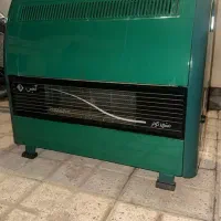 بخاری آدنیس