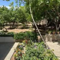 باغچه-با-درختان-چند-ساله-بهره-برداری-وسرمایه-گذاری
