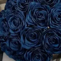 کاپشن دخترانه