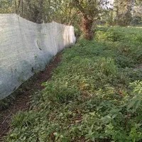 زمین325متر مسکونی استخر دوقلو سه سار