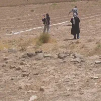 زمین-کشاورزی-تربت-حیدریه
