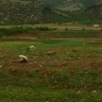 دامداری-روستای-قلعه-سنگی