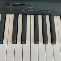 پیانو دیجیتال|پیانو، کیبورد، آکاردئون|زاهدان, |دیوار