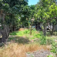 واقعیه& فلت باغی سندداردلنشین با355m زمین قیکل4700