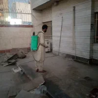 نظافت وسم پاشی