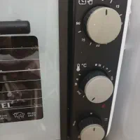 فربرقی بزرگ سالم