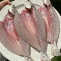 ماهی کبابی جنوب بندر تازه رسید