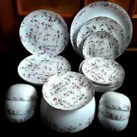 آرکوپال زیبا نوی نو|ظروف سرو و پذیرایی|بابل, |دیوار