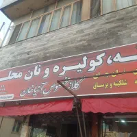 آشپز ماهر  ویزیتور خانم