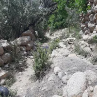 فروش باغ سنددار تک برگی به مساحت ۲۶۱۲ متر مربع|فروش خانه و ویلا|نیر (یزد), |دیوار