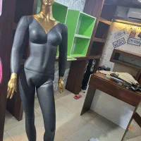 مانکن درحدنو|فروشگاه و مغازه|ساری, |دیوار