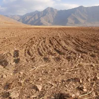 فروش زمین با مجوز ساخت|فروش دفتر صنعتی، کشاورزی، تجاری|خاوه, |دیوار