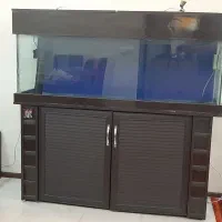 آکواریوم آب شیرین