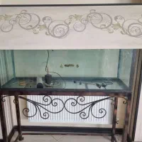 آکواریم زیبا