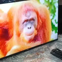 تلوزیون ال ای دی 50 اینچ هوشمند 4KاندرویدBENSS