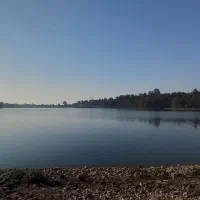 هدیه میلی|کارت هدیه و تخفیف|اصفهان, شاهد|دیوار