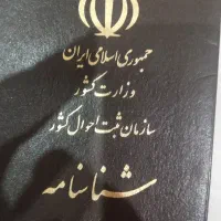 شناسنامه گم شده