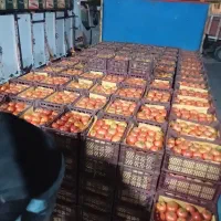 حمل بار و جابجای اثاث منزل و مبلمان و غیره|خدمات حمل و نقل|بم, |دیوار