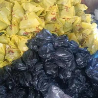 استخدام نیرو بسته بند زن