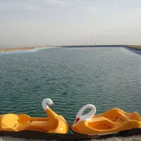 استخدام فوری عکاس و فیلمبردار پروژه‌های کشاورزی|استخدام هنری و رسانه|شیروان (خراسان), |دیوار