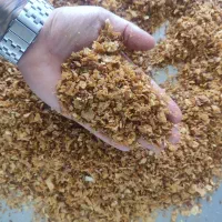 پیاز داغ نگینی