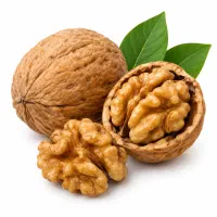 گردو تازه بروجرد