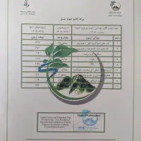 عسل/ارگانیک/اصل/اردبیل/با خلوص ۸۵ درصد|خوردنی و آشامیدنی|تهران, شهرک دانشگاه|دیوار