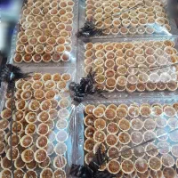 انواع حلوا و خرمای مجلسی.انواع غذا نذری هیئتی|خوردنی و آشامیدنی|تهران, خانی آباد نو جنوبی|دیوار