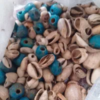 سنگ و صدف تزئینی