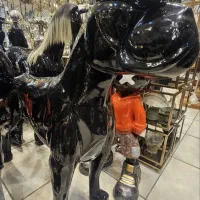 مجسمه سگ گریدین باکستر کنار سالنی|مجسمه، تندیس، ماکت|مشهد, توس (بلوار توس)|دیوار