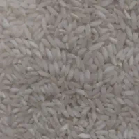 برنج چمپا فلارد