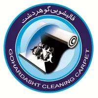 راننده با ماشین نیسان در قالیشویی