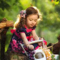 آموزش عکاسی و ادیت با موبایل|خدمات پذیرایی، مراسم|بندر گناوه, |دیوار