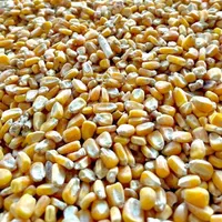 ذرت و سویا،جو و یونجه کاه و کلش ...