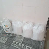 برنج فجرشالی