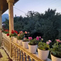 ویلا با ویو کوهپایه دریاچه آماده رزرو ازامشب خالی|اجارهٔ کوتاه‌مدت ویلا و باغ|ماسال, |دیوار