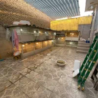 قفس|لوازم جانبی حیوانات|کرمانشاه, |دیوار